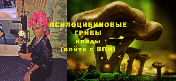 сатива Алексин