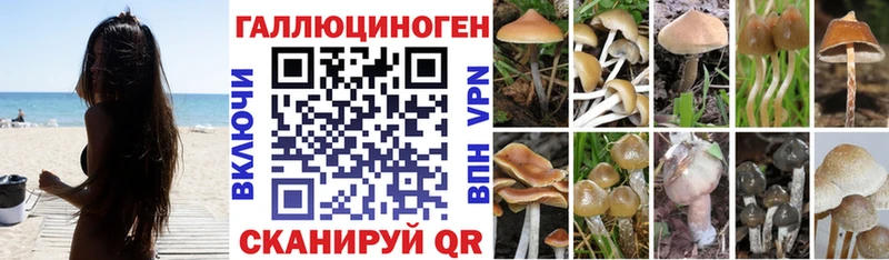 цены   ссылка на мегу вход  Псилоцибиновые грибы ЛСД  Ленинск-Кузнецкий 