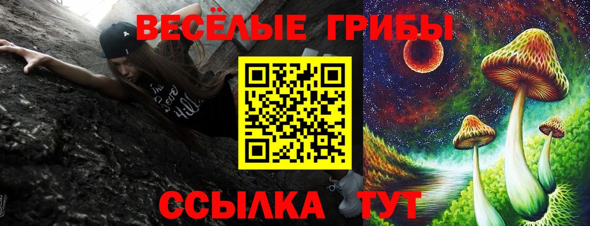 Псилоцибиновые грибы GOLDEN TEACHER  Ленинск-Кузнецкий 