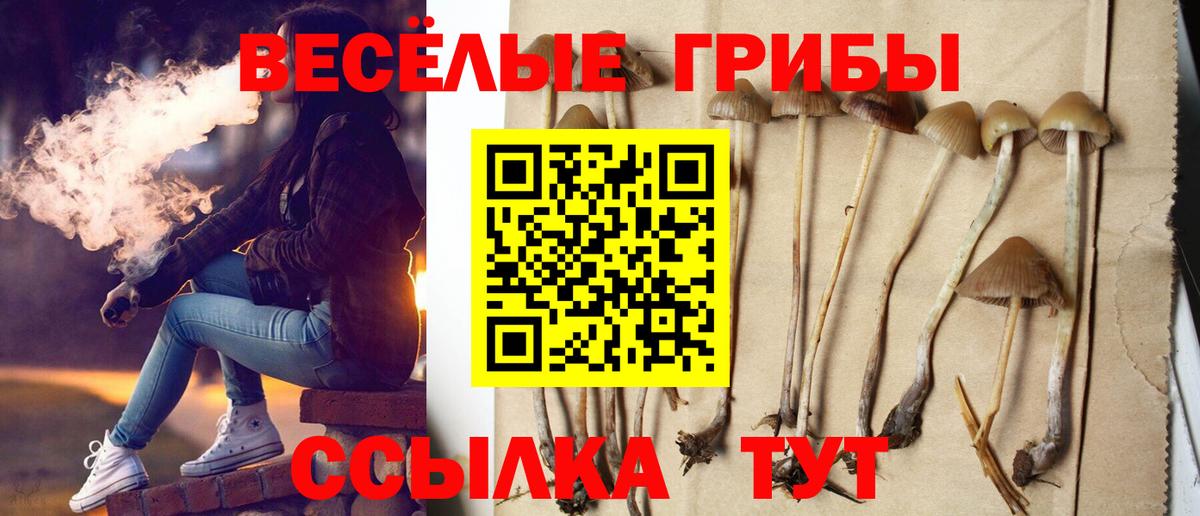 Ленинск-Кузнецкий  Галлюциногенные грибы прущие грибы  Вход с VPN 