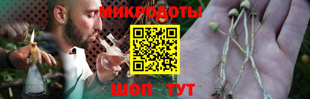 Псилоцибиновые грибы ЛСД Ленинск-Кузнецкий