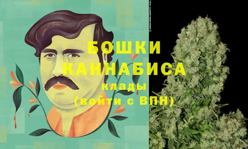 Шишки марихуана Bruce Banner  Ленинск-Кузнецкий 